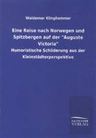 Waldemar Klinghammer - Eine Reise nach Norwegen und Spitzbergen auf der 'Auguste Victoria'