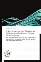 Vladimir Bulatovic, Bulatovic-v - Interconnexion des reseaux de