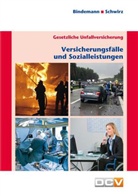 Ass. Detlev Bindemann, Ass. Karl Heinz Schwirz, Detlev Bindemann, Karl Heinz Schwirz, Karl-Heinz Schwirz - Gesetzliche Unfallversicherung