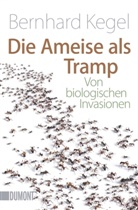 Bernhard Kegel - Die Ameise als Tramp