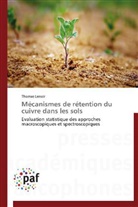 Thomas Lenoir, Lenoir-t - Mecanismes de retention du cuivre