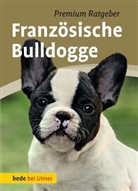 Annette Schmitt - Französische Bulldogge