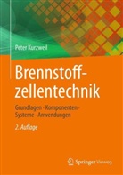 Peter Kurzweil - Brennstoffzellentechnik