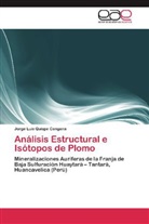 Jorge Luis Quispe Cangana - Análisis Estructural e Isótopos de Plomo