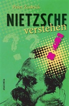 Peter Zudeick - Nietzsche verstehen
