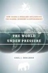 Carl Dahlman, Carl J (Georgetown University Dahlman, Carl J. Dahlman - World Under Pressure
