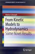 Matteo Colangeli - From Kinetic Models to Hydrodynamics