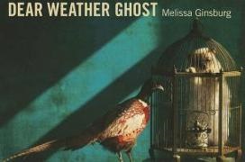 Melissa Ginsburg,  Ginsburg Melissa - Dear Weather Ghost