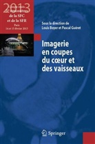 2013, Louis Boyer, BOYER LOUIS, Boyer/gueret, Collectif, Pascal Gueret... - Imagerie en coupes du coeur et des vaisseaux : compte-rendu des 5es Rencontres de la SFC et de la SFR, Paris, 14 et 1...