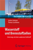 Lehman, Joche Lehmann, Jochen Lehmann, Luschtinetz, Thomas Luschtinetz - Wasserstoff und Brennstoffzellen