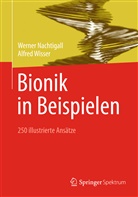 Nachtigal, Wernder Nachtigall, Werne Nachtigall, Werner Nachtigall, WISSER, Alfred Wisser - Bionik in Beispielen