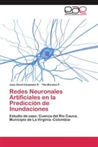 Juan Davi Céspedes R, Juan David Céspedes R, Juan David Céspedes R., Tito Morales P, Tito Morales P. - Redes Neuronales Artificiales en la Predicción de Inundaciones