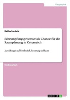 Katharina Jutz - Schrumpfungsprozesse als Chance für die Raumplanung in Österreich