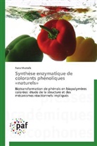Rana Mustafa, Mustafa-r - Synthese enzymatique de colorants
