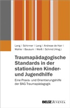 Lang, Schirmer, Wahle, Ingeborg Andreae de Hair, Jacob Bausum, Birgit Lang... - Traumapädagogische Standards in der stationären Kinder- und Jugendhilfe