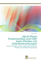 Hacer Güler - Akute Phase Proteinen(SAA und CRP) beim Pferden mit Gelenkerkrankungen