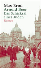 Max Brod, Peter Demetz, Koc, Koch, Zimmerman, Zimmermann - Arnold Beer. Das Schicksal eines Juden. Roman