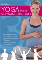 Sandra Beck - Yoga in der Schwangerschaft (Kartenset)