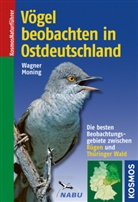 Moning, Christoph Moning, Wagne, Christia Wagner, Christian Wagner - Vögel beobachten in Ostdeutschland