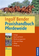 Ingolf Bender - Praxishandbuch Pferdeweide