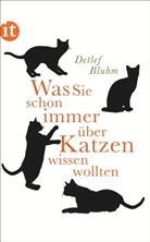 Detlef Bluhm - Was Sie schon immer über Katzen wissen wollten