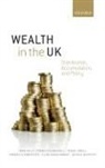 Francesca Bastagli, Bastagli Francesca, Frank Cowell, Cowell Frank, Howard Glennerster, John Hills... - Wealth in the Uk