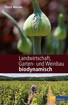 P. Masson, Pierr Masson, Pierre Masson, V. Masson, Vincent Masson - Gartenbau und Landwirtschaft biodynamisch
