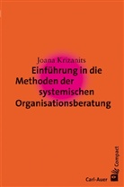 Joana Krizanits - Einführung in die Methoden der systemischen Organisationsberatung