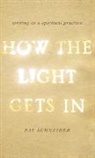 Pat Schneider, Schneider Pat - How the Light Gets in