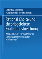 Sebastia Bamberg, Sebastian Bamberg, Harald Grumbl, Haral Gumbl, Harald Gumbl, Peter Schmidt - Rational Choice und theoriegeleitete Evaluationsforschung