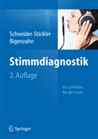 Bigenzahn, Wolfgang Bigenzahn, Berit Schneider, Schneider-Stickle, Beri Schneider-Stickler, Berit Schneider-Stickler - Stimmdiagnostik, m. CD-ROM