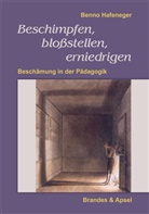 Benno Hafeneger - Beschimpfen, bloßstellen, erniedrigen