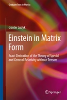 Günter Ludyk - Einstein in Matrix Form