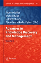 Fabrice Guillet, Brun Pinaud, Bruno Pinaud, Gilles Venturini, Gilles Venturini et al, Djamel A. Zighed... - Advances in Knowledge Discovery and Management