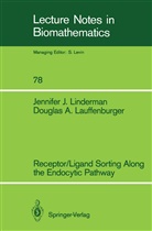 Douglas A Lauffenburger, Douglas A. Lauffenburger, Jennifer Linderman, Jennifer J Linderman, Jennifer J. Linderman - Receptor/Ligand Sorting Along the Endocytic Pathway