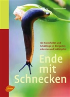 Thomas Lohrer - Ende mit Schnecken