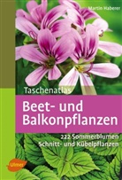 Martin Haberer - Beet- und Balkonpflanzen