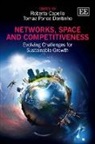 Roberta Capello, Roberta Dentinho Capello, Roberta/ Dentinho Capello, Tomaz Ponce Dentinho, Roberta Capello, Tomaz Ponce Dentinho - Networks, Space and Competitiveness
