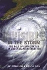 John Norbury, Ian Roulstone, Ian Norbury Roulstone, Roulstone Ian - Invisible in the Storm