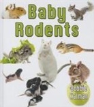Bobbie Kalman - Baby Rodents