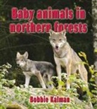 Bobbie Kalman - Baby Animals in Northern Forests