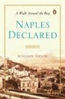 Benjamin Taylor - Naples Declared