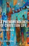 Felix Ao Murchadha, Felix Murchadha, Felix O. Murchadha, Felix O Murchadha, Felix Ó Murchadha, Felix O. Murchadha... - Phenomenology of Christian Life
