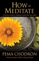 Pema Cheodreon, Pema Chodron, Pema Chödrön, Pema Choedroen - How to Meditate