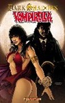Marc Andreyko, Patrick Berkenkotter, Lee Hak, Marc Andreyko, Kim Sang-yeop, Patrick Berkenkotter... - Dark Shadows / Vampirella