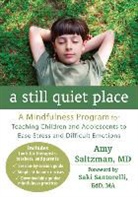 Amy Saltzman - A Still Quiet Place