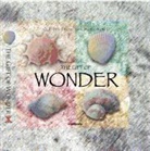 Ben Alex - Gift of Wonder (CEV Bible Vers