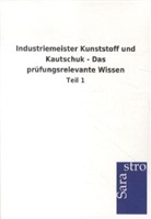 Sarastro Gmbh - Industriemeister Kunststoff und Kautschuk - Das prüfungsrelevante Wissen