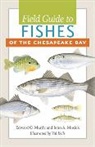Edward O Murdy, Edward O. Murdy, Edward O. Musick Murdy, Edward O./ Musick Murdy, MURDY EDWARD O MUSICK JOHN, John A Musick... - Field Guide to Fishes of the Chesapeake Bay