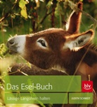 Alexandra Evang, Judith Schmidt, Alexandra Evang - Das Esel-Buch